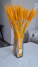 九千谷麦穗干花束开业乔迁大麦装饰摆件客厅玄关假花插花 金色100支4398 实拍图