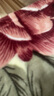 南极人（Nanjiren）毛毯被子加厚盖毯双层单人宿舍毛毯被秋冬绒毯子双人加大拉舍尔毯 店家推荐657灰豆沙【撸猫级触感】 200x230cm-约8斤 实拍图