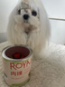 ROYALOPT狗狗零食蔬菜冻干水果狗粮伴侣无添加孢子甘蓝狗狗零食冻干拌粮猫 水果冻干1桶 实拍图