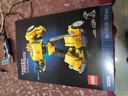乐高（LEGO）10338 变形金刚大黄蜂 创意IDEAS成人粉丝收藏款积木玩具生日礼物 实拍图
