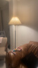 Paulmann P德国柏曼落地灯 暖光灯客厅卧室氛围白蜡木杆复古立式灯具 实拍图