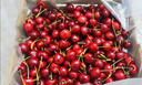 田良季车厘子樱桃【JD多地次日达】国产美早大樱桃5kg水果送礼品盒年货 2斤(净重) 礼箱装【较划算】 超大果 JJ 28-30mm【自食尝鲜】 实拍图