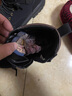 百丽童鞋冬保暖儿童靴子男童马丁靴女童加绒短靴皮靴 驼色34码 实拍图