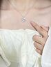 银千惠999足银项链女士高级感蓝桉与鸟吊坠情人节生日礼物送女朋友老婆 蓝桉与鸟项链/999足银+七仓配送/当次日达 玫瑰花礼盒/配首饰证书/情人节女生礼物 实拍图