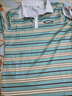 妄潮大码POLO衫短袖t恤男夏季条纹带领翻领时尚潮牌冰丝休闲半袖T 【高质量跑量款】坊R13浅绿 L 建议体重100-110斤可穿 实拍图