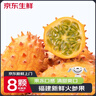 裕农叔【顺丰JD】火参果水果福建新鲜刺角瓜火生果冷门水果稀奇奇异果 6枚装（20%选择-性价比）-顺丰 巨无霸单果200-300g 实拍图