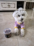 HELLOJOY狗狗零食成犬幼犬营养拌饭奖励拌粮辅食狗粮伴侣 肉松牛肉粒200g 实拍图