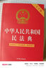 2024年中华人民共和国民法典（法律条文·司法解释·典型案例）大字版  批量采购专线400-026-0000 实拍图