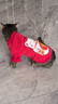 派乐特猫咪衣服拜年服冬季防掉毛新年宠物狗狗小型犬加绒保暖过年圣诞L 实拍图