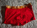 猫人（MiiOW）本命年内裤男士红色短裤头加肥加大码棉质四角裤婚庆大红平角裤 银巾/金巾/印花 3条 2XL 【建议体重120-150斤】 实拍图