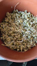田园梦生豆芽机家用全自动紫砂豆芽罐豆芽发芽神器豆芽菜机陶瓷豆芽罐桶 【加热款】大号土陶+加热底座 实拍图