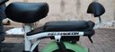 飞鸽电动车新国标电动车自行车男女成人电瓶车超长续航小型两轮通勤代步电单车 清新绿【全国联保/防爆抗寒/终身售后】 【石墨烯】14A载能-助力续航75公里 实拍图