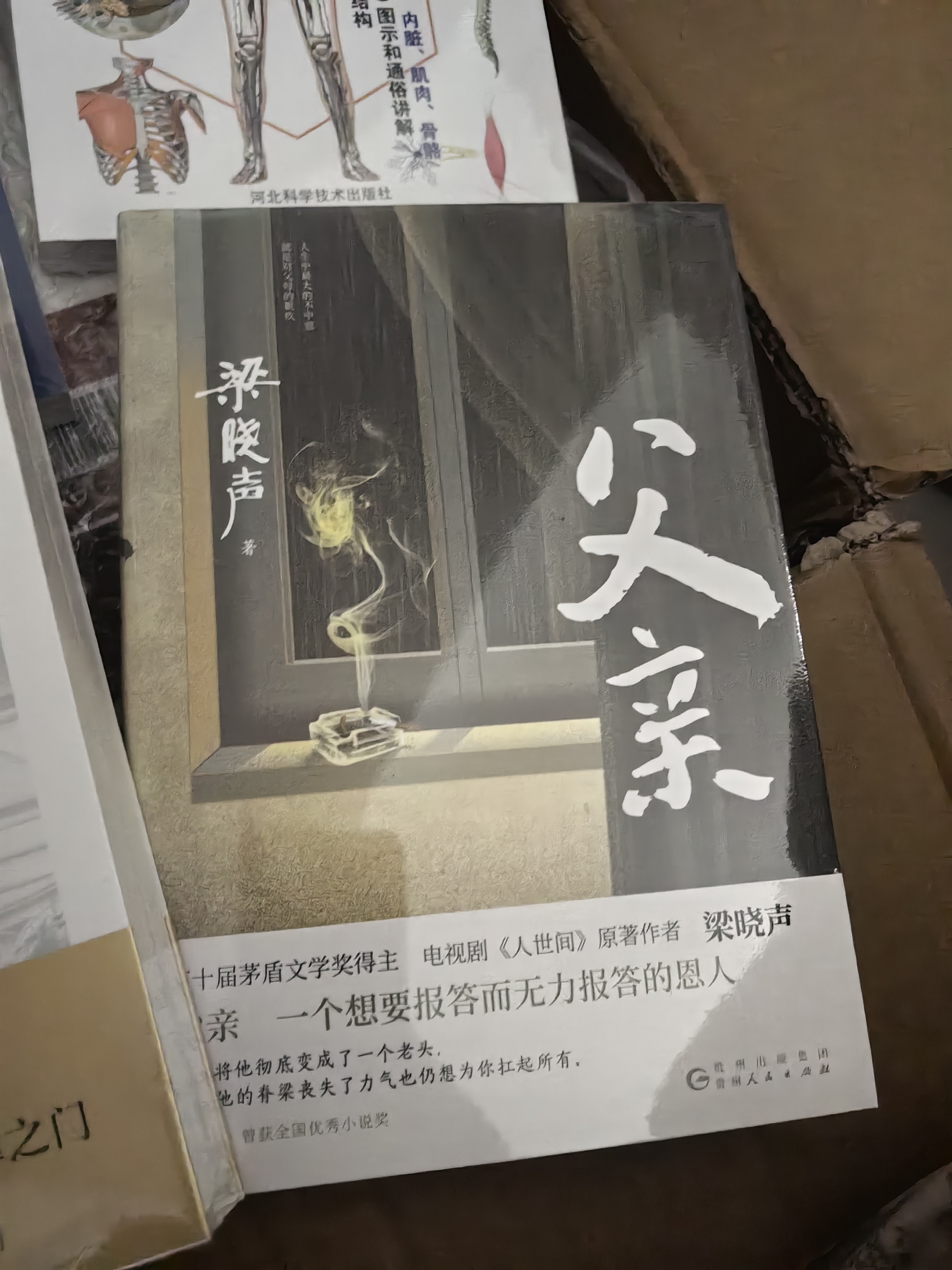 造房子（2016中国好书） 实拍图
