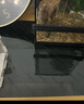 茨格曼爬宠加热垫宠物蜥蜴守宫爬虫温控加热垫鱼缸加热垫保温垫*  中号  三挡控温12W【28*15cm】 实拍图