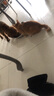 麦富迪佰萃猫粮 蓝猫美短英短布偶通用型天然粮 幼猫粮2kg 实拍图