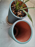 爵遇良品宜兴紫砂兰花盆带托盘君子兰盆中小型桌面家用绿萝蝴蝶兰阳台花盆 精品宫灯 大号 灰绿色(配底座) 图上标注 实拍图