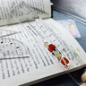 晨光(M&G)文具熊猫果果套尺尺子套装小学生考试 4件套（直尺15cm+三角尺*2+量角器）ARL960CF中考高考 实拍图