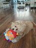 萌嘟星宠 狗狗玩具发声球宠物毛绒响铃球互动训练用品 实拍图