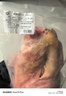 中乡同构猪肘 黑猪肉 蹄膀猪脚饭肘子生鲜前后肘大骨头 构树土猪 猪肉生鲜 黑猪后肘3-4斤 实拍图
