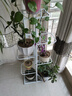 蜗家（WOJIA）花架花盆架子多层家用装饰置物层架铁艺客厅北欧简约挂架绿萝架 白色【高108cm】 实拍图