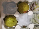 【顺丰】莱阳慈梨 山东烟台莱阳茌梨特产贡梨脆甜梨子 新鲜水果 5斤大果 7-8个 照旺庄百年老梨树 实拍图