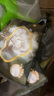 babycare紫盖6抽*12包+山茶绵柔巾50抽*5包+山茶乳霜纸20抽*8包 组合装 实拍图