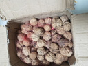 阿表哥新鲜云南薄皮核桃5斤整箱纸皮核桃生核桃孕妇年货坚果带核桃夹 云南核桃-大果5斤（送夹子） 实拍图