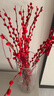 【银柳送挂饰】年宵花⭐真花鲜枝红色客厅室内干花盆栽摆件水培 【20枝】招财银柳-送新春挂件 60cm 实拍图