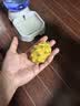 优味集燕窝果麒麟果【顺丰JD】应季新鲜水果海南黄色火龙果白心水果生鲜 2000g礼盒 商超A+级精品果（单果100g+） 实拍图