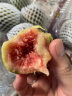 余悦云南红皮无花果(顺丰)现摘一级果应季孕妇新鲜水果礼盒紫皮无花果 3斤装【单果35g+】 净重2.8斤 实拍图