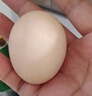 芮瑞 农家正宗土鸡蛋山林散养草鸡蛋 现发柴鸡蛋 40±5g/枚 4枚 实拍图