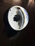 弗瑞肯 磁流体音乐拾音器音箱伴侣 毒液音乐可视化氛围节奏灯器 桌面桌搭解压摆件送男生老公礼物高级感 钢琴黑毒液拾音器【拾音律动-升级款】 实拍图