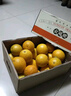 云冠橙净重10斤装2025褚橙官方云南冰糖橙当季新鲜水果礼盒橙子产地直发 XL果云冠橙 5kg 实拍图