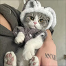 阿莫尔猫咪衣服加厚秋冬装保暖棉衣泰迪比熊雪纳瑞小型犬狗狗宠物四脚衣 咖色变身装 M(建议5-8斤具体参考胸围背长） 实拍图