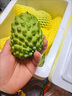 鲜福林云南牛奶凤梨释迦果新鲜应季水果超甜糯番荔枝 2斤 净重中果150g+ （冰淇淋口感） 实拍图