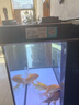 森森（SUNSUN）大型鱼缸底过滤水族箱客厅家用落地玻璃生态金鱼缸 【实时温显】1.2米长42cm宽（黑白灰可选） 实拍图