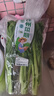 【好事连连】连州菜心400g 实拍图
