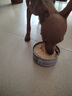 益伴A/D犬康复处方罐95g*1罐狗狗处方粮主食罐产后月子餐绝育术后营养 实拍图