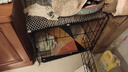 憨憨宠 狗笼猫笼 狗笼子小型犬带厕所幼犬折叠便携猫笼子宠物笼具兔笼 【精品真加粗】狗丝 60*42*52cm 实拍图