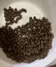 GO！SOLUTIONS无谷三种鱼全猫粮16磅/7.26kg多肉成猫幼猫通用原装进口 新鲜效期 实拍图