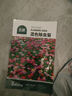 北蔬 除虫菊花种子苗防蚊虫家庭四季盆栽花种籽 混色除虫菊种子500粒 实拍图