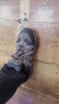 迈乐（Merrell）官方店男女款户外登山徒步鞋减震MOAB 3迈越者轻量防滑耐磨透气 J035881黑灰（男） 43 实拍图