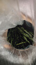 陈一凡 茶叶明前太平猴魁特级绿茶 兰香高山核心原产茶叶盒装送礼自饮 太平猴魁 100g*1罐 实拍图
