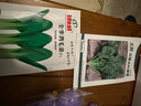 IDEAL理想农业 鸡毛菜种子小青菜种籽易活盆栽家庭四季易种植蔬菜种子 实拍图