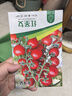 花沃里红圣女果100粒/包 蔬菜种子红珍珠番茄小西红柿阳台庭院田间种植 实拍图