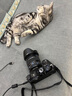 富士（FUJIFILM）xs20 x-s20 xs10复古微单相机 4KVlog拍摄 旅游直播数码照相机 墨璟黑 单机身+16-80mm 实拍图