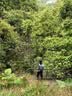 KAILAS凯乐石远山16L轻量徒步背包户外透气耐磨登山双肩包 实拍图