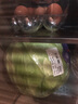 小汤山 北京 有机圆白菜 600g 基地直供新鲜蔬菜 实拍图