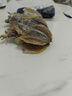 万港北海淡晒墨鱼干500g淡水干货乌贼目鱼干精品大海产品海鲜煲汤送礼 M3墨鱼干半斤【约5只】 实拍图