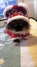 阿莫尔猫咪衣服保暖小猫猫衣服狗狗衣服过年冬天德文布偶猫蛇年宠物服装 福字醒狮唐装(连帽两脚衣) XL (具体参考身长和胸围) 实拍图